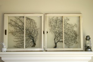 sea fans and antique wood windows.  white on white on white.  love.