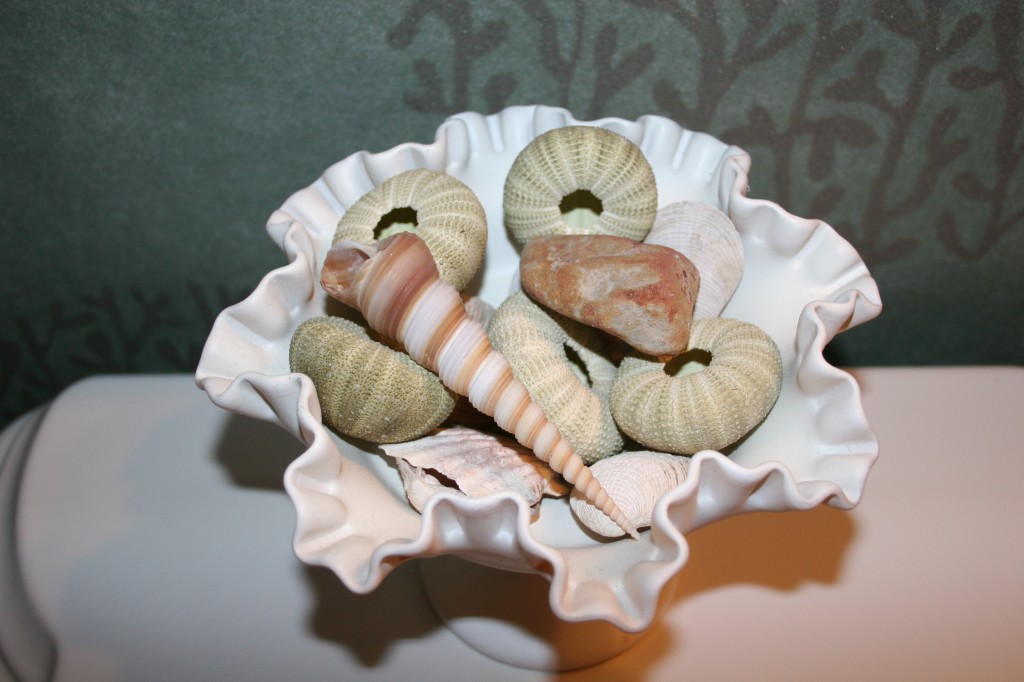 scalloped dish with sea shells