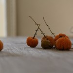 orange and yellow fruit from a tree on rustic wood restoration hardware table
