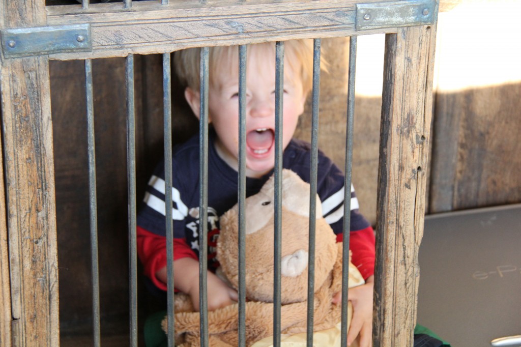 toddler behind bars with stuffed animal monkey