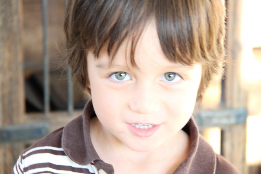 4 year old brown hair blue eyes boy