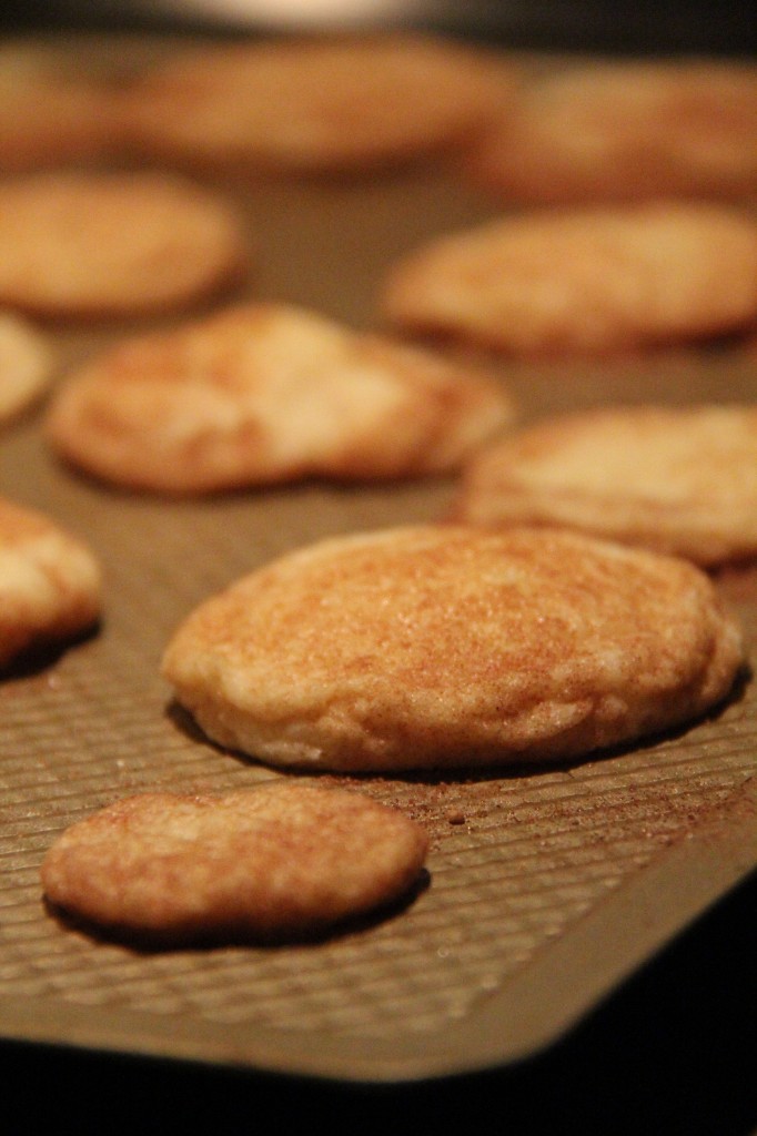 yummy snicker doodle cookies