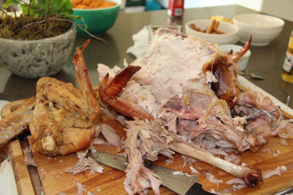 decimated turkey carcass