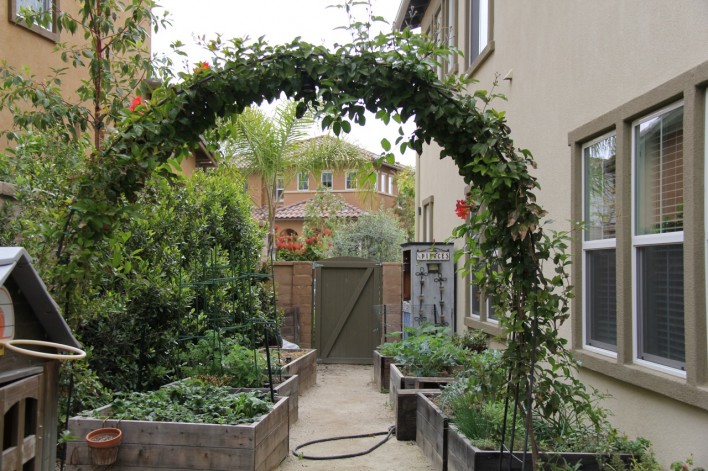 garden arch trellis filled with trumpet vines