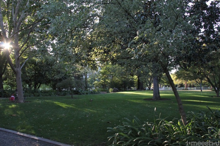 beautiful grass area a Beaulieu Gardens