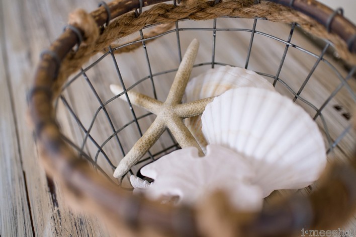 star fish and sea shells in wire basket