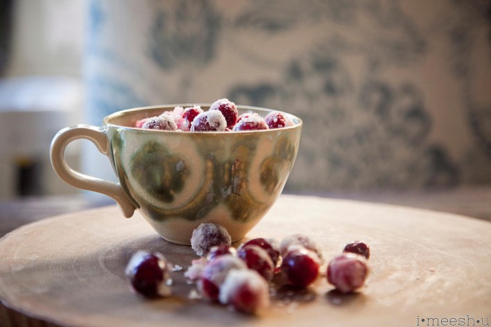 first-frost-cranberries-2