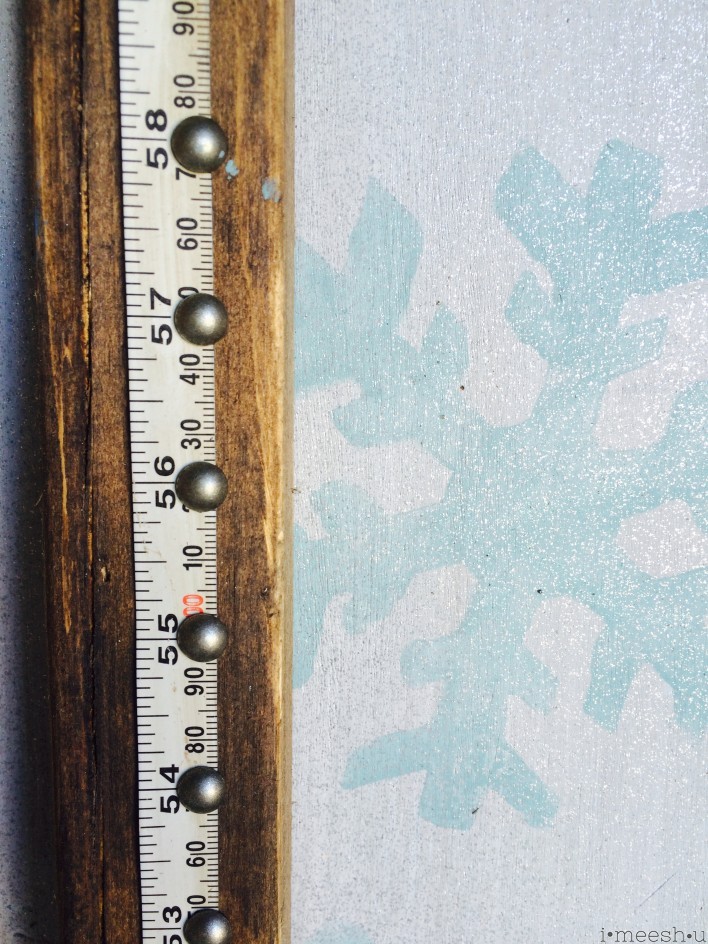 rustic-growth-chart-frozen-snowflake-weathered-wood