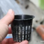 Transplanting potted plants to hydroponics net pots
