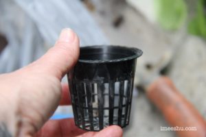 Transplanting potted plants to hydroponics net pots